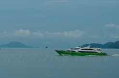 Green Phuket _DSC0266